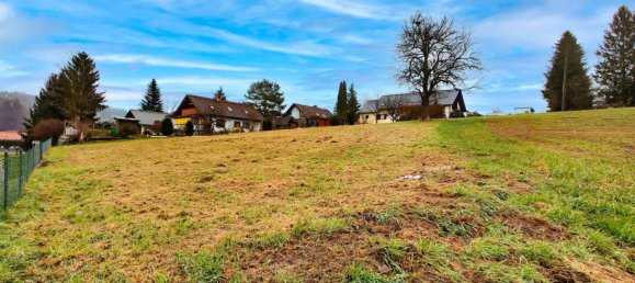  Land in Weinitzen, Austria No. 99722 2