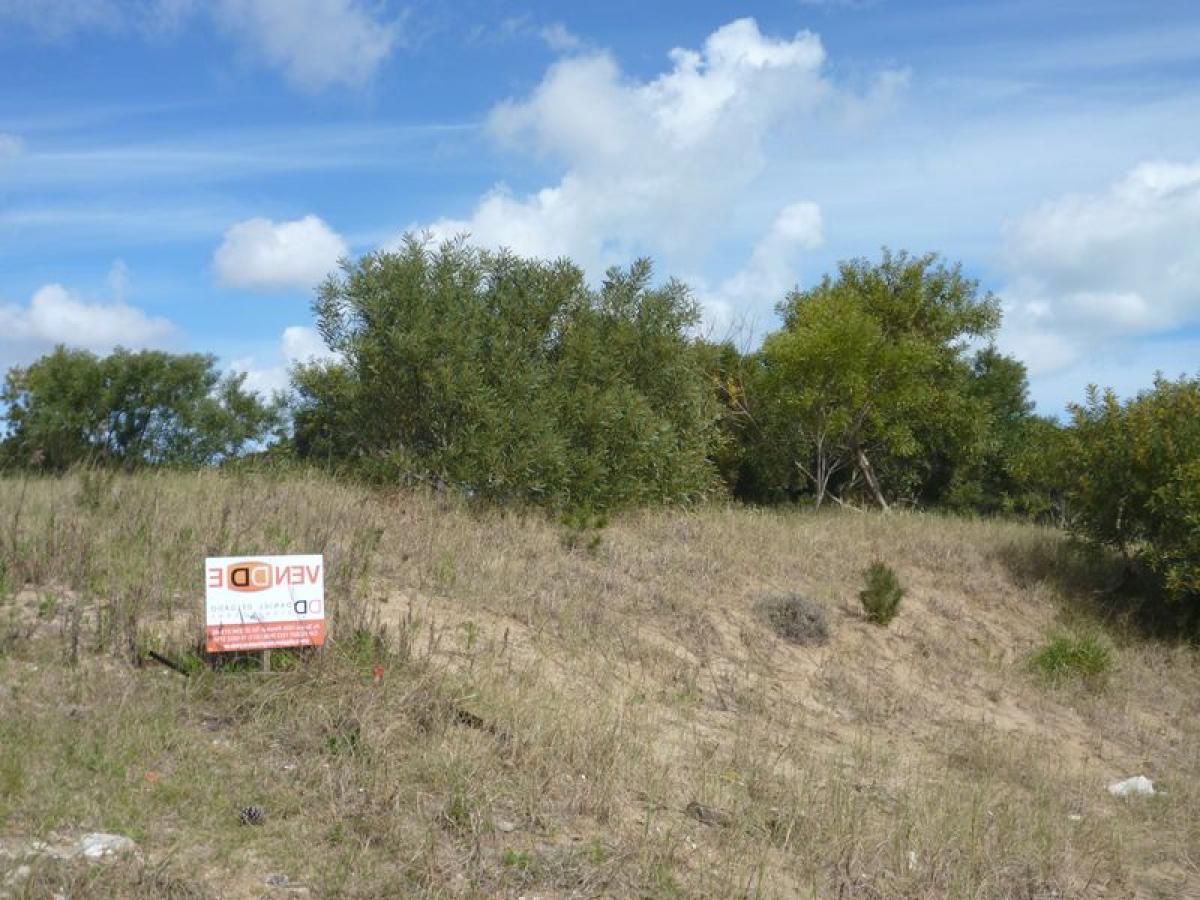  قطعة أرض في Mar del Plata, Argentina رقم 115301