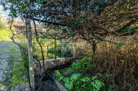 3 Schlafzimmer Haus in Fanzeres, Portugal, Nr. 102950