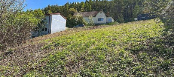 Land in Forchtenstein, Austria No. 130664 4