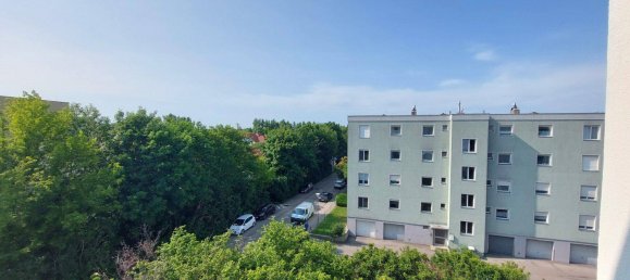 3-Zimmer Wohnung in Guntramsdorf, Austria, Nr. 172295 2