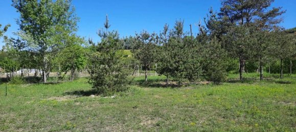 4 Schlafzimmer Haus in Corneliano d'Alba, Italy, Nr. 49736 10