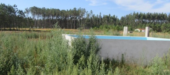 7 Schlafzimmer Haus in Leiria, Portugal, Nr. 152736 30