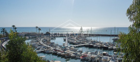 2 bedrooms Apartment in Torrevieja, Spain No. 20224 36