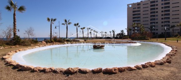 2 bedrooms Apartment in Torrevieja, Spain No. 20224 45