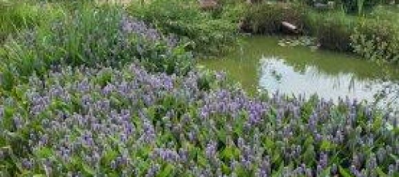 Casa de 5 divisões em German Kaltenbrunn, Austria N.º 226316 47