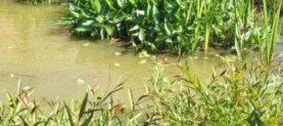 Casa de 5 divisões em German Kaltenbrunn, Austria N.º 226316 34