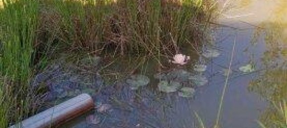 Casa de 5 divisões em German Kaltenbrunn, Austria N.º 226316 42