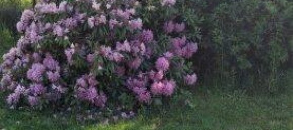 Casa de 5 divisões em German Kaltenbrunn, Austria N.º 226316 38