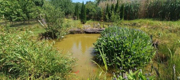 Casa de 5 divisões em German Kaltenbrunn, Austria N.º 226316 33