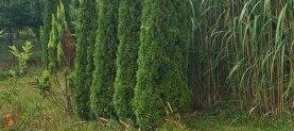 Casa de 5 divisões em German Kaltenbrunn, Austria N.º 226316 46