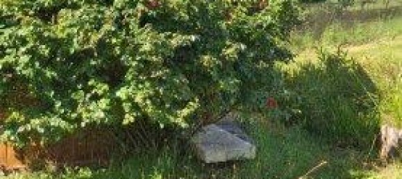 Casa de 5 divisões em German Kaltenbrunn, Austria N.º 226316 37