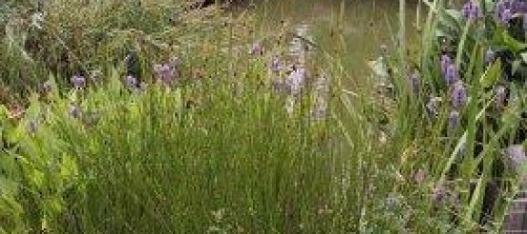 Casa de 5 divisões em German Kaltenbrunn, Austria N.º 226316 45