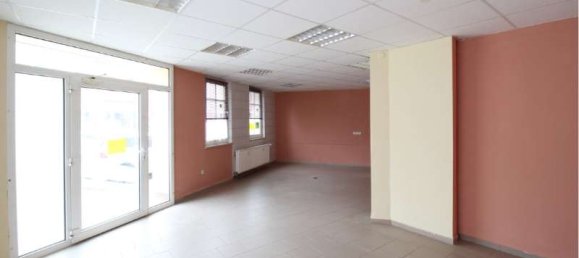 405m² Building in Anhalt-Bitterfeld, Germany No. 267478 4