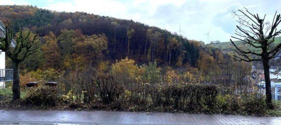 Земельный участок в Юго-западный Пфальц, Германия № 118819 2