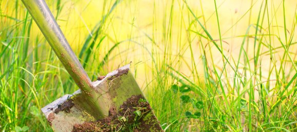 Земельный участок в Юго-западный Пфальц, Германия № 118819 5