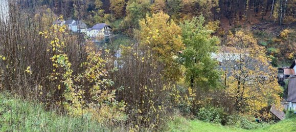 Земельный участок в Юго-западный Пфальц, Германия № 118819 3