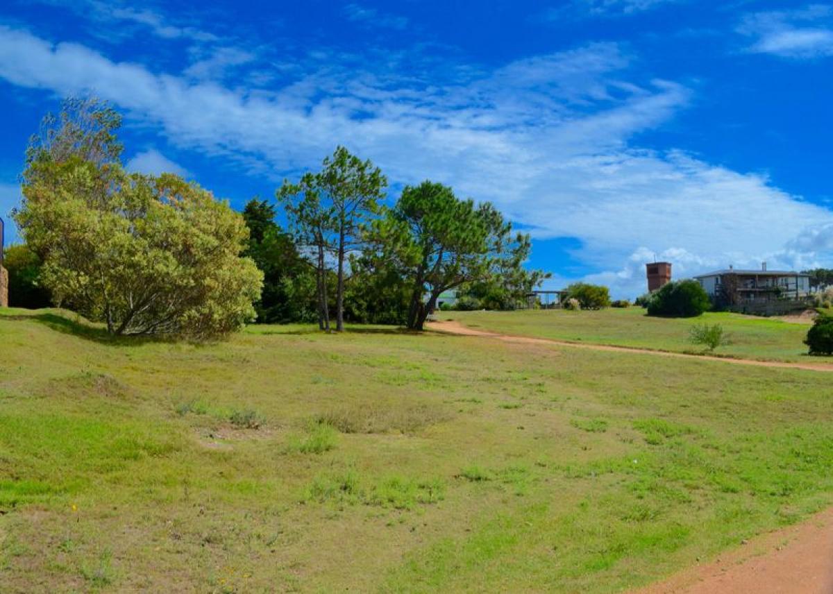  قطعة أرض في Maldonado, Uruguay رقم 15079
