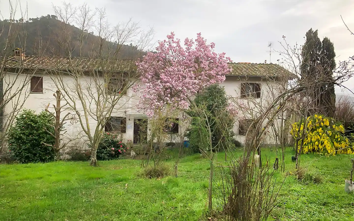 Villa de 9 dormitorios en Lucca, Italy No. 339489