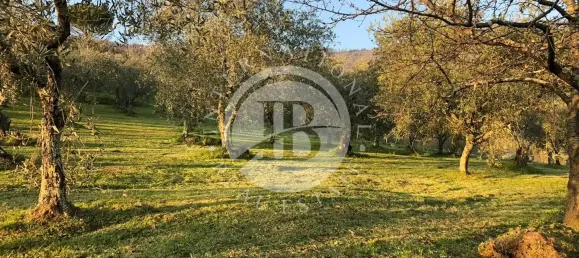 Villa de 9 dormitorios en Lucca, Italy No. 339489 3