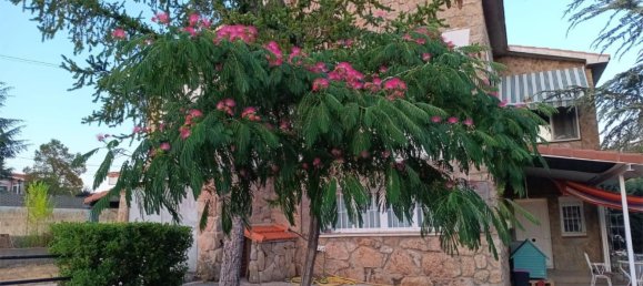 4 bedrooms House in Santa Maria de la Alameda, Spain No. 155455 24