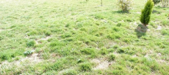 Земельный участок в Вьерзон, Франция № 54786 2