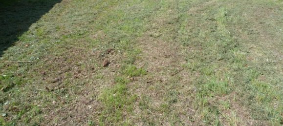 Земельный участок в Вьерзон, Франция № 54786 4