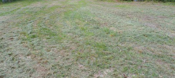 Земельный участок в Вьерзон, Франция № 54786 3