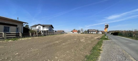 Land in Mureck, Austria No. 163291 2