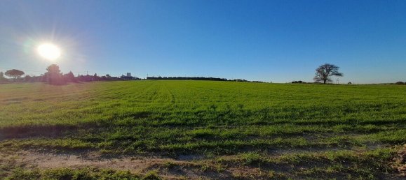 Отель, гостиница 22400м² в Халкидики, Греция № 3718 8