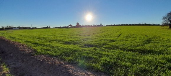 Отель, гостиница 22400м² в Халкидики, Греция № 3718 3