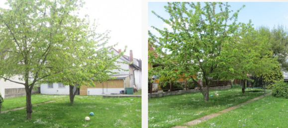 7-Zimmer Haus in Bamberg, Germany, Nr. 279711 19