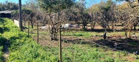 2 غرف نوم منزل في Faro, Portugal رقم 163919 4