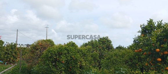 2 غرف نوم منزل في Faro, Portugal رقم 163919 17