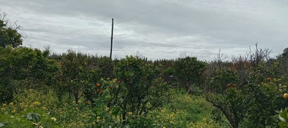 2 غرف نوم منزل في Faro, Portugal رقم 163919 16