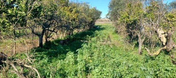 2 غرف نوم منزل في Faro, Portugal رقم 163919 3