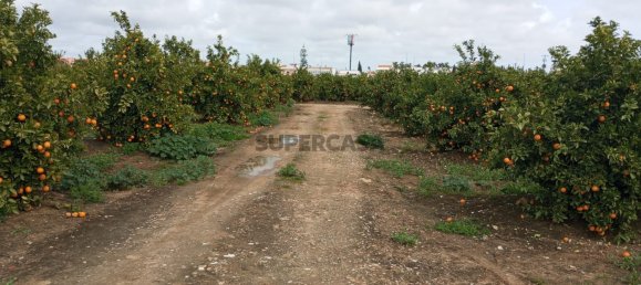 2 غرف نوم منزل في Faro, Portugal رقم 163919 30