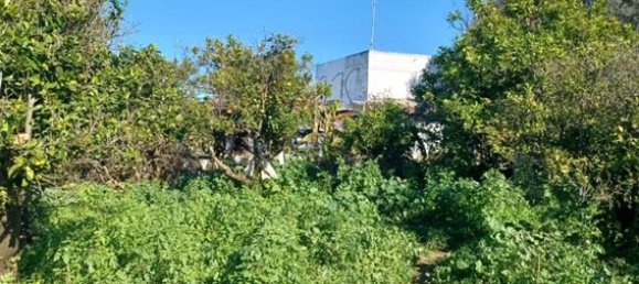 2 غرف نوم منزل في Faro, Portugal رقم 163919 6