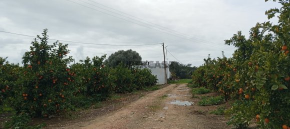 2 غرف نوم منزل في Faro, Portugal رقم 163919 13