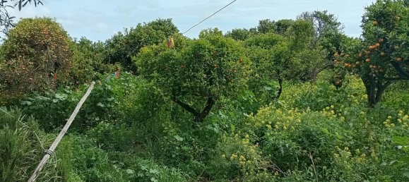 2 غرف نوم منزل في Faro, Portugal رقم 163919 20