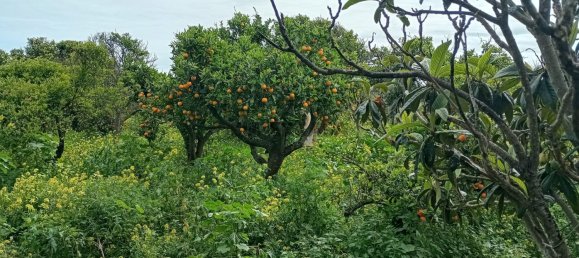 2 غرف نوم منزل في Faro, Portugal رقم 163919 19