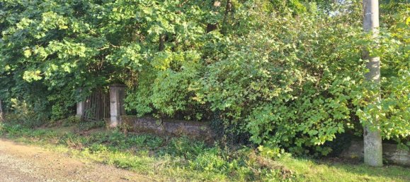 Terrain à Markisch-Oderland, Germany No. 279918 2