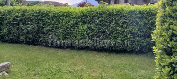 3 chambres Appartement à Pian Camuno, Italy No. 310334 18