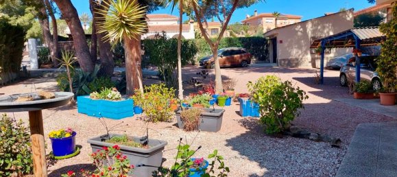 5 غرف نوم فيلا في Algorfa, Spain رقم 176527 23