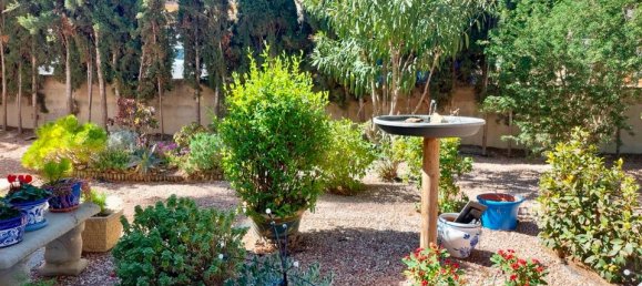 5 غرف نوم فيلا في Algorfa, Spain رقم 176527 21