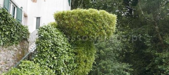 4 Schlafzimmer Haus in Sintra, Portugal, Nr. 120627 4