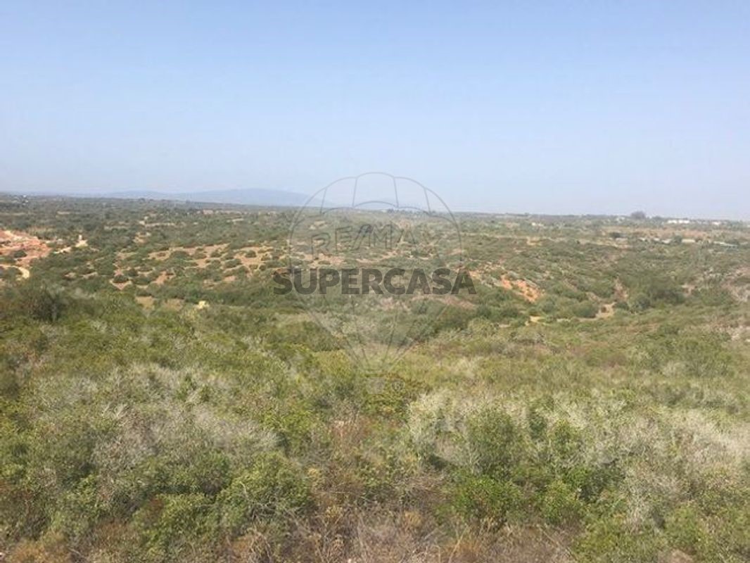  Land in Barao de Sao Miguel, Portugal No. 289118