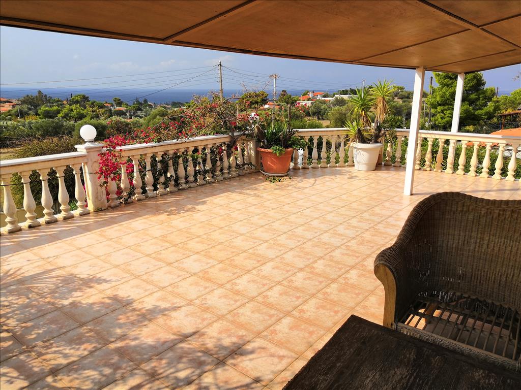 5 chambres Propriété commerciale à Palaia Fokaia, Greece No. 5420