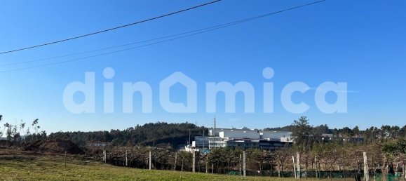 Grundstück in Ribeirao, Portugal 760m², Nr. 28801 20