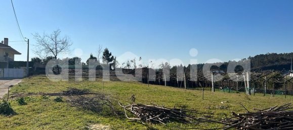 Grundstück in Ribeirao, Portugal 760m², Nr. 28801 21